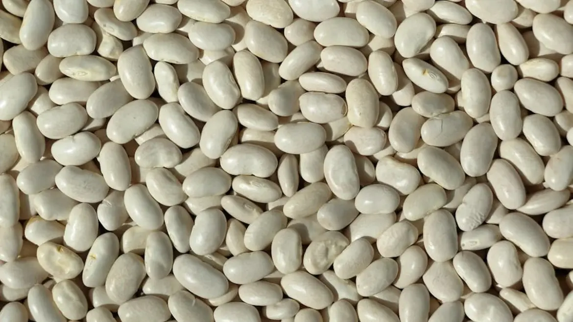 Full of beans