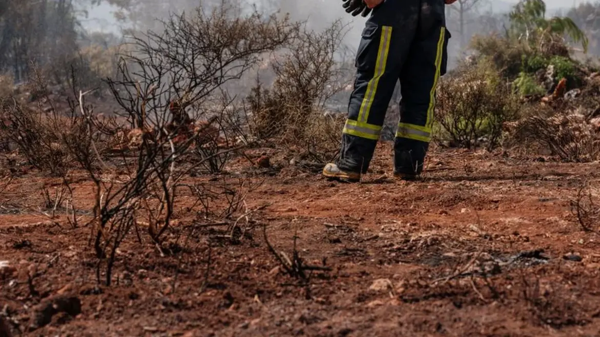 Resilience as a service